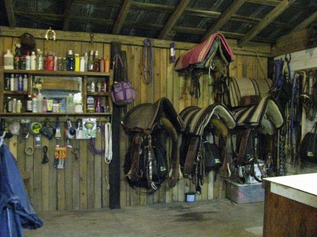 Ideas, Tack Wall, Tack Rooms, Horsetack Tackrooms, Dream Barn, Horses ...